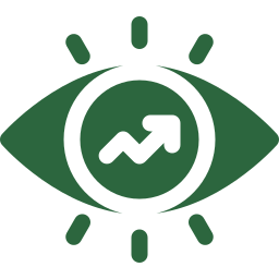 icon vision